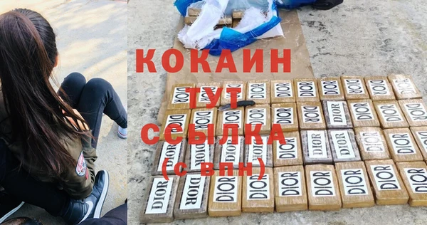 гидра Кинешма