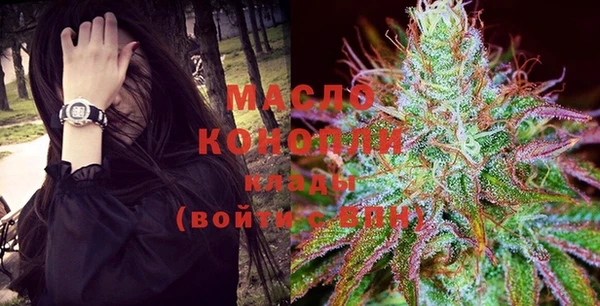 гидра Кинешма